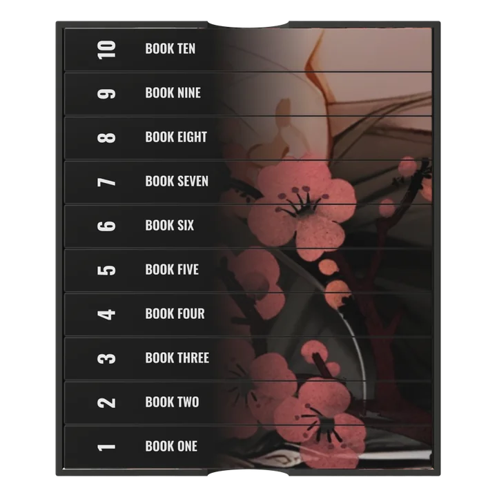 Ten-book box set mockup seen from directly above